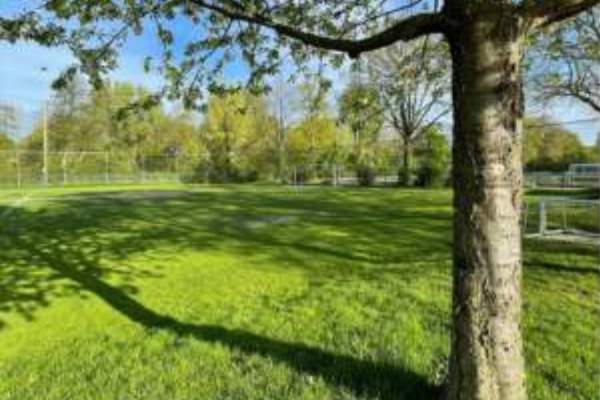 Monkey Moves BSO Dinxperlo